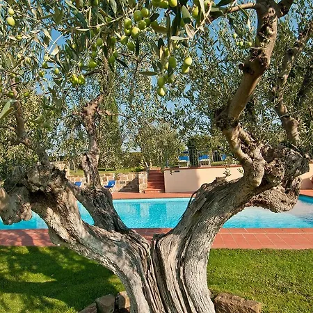 Sleeps 14 Wifi *